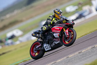 PJ-Motorsport-2019;anglesey-no-limits-trackday;anglesey-photographs;anglesey-trackday-photographs;enduro-digital-images;event-digital-images;eventdigitalimages;no-limits-trackdays;peter-wileman-photography;racing-digital-images;trac-mon;trackday-digital-images;trackday-photos;ty-croes